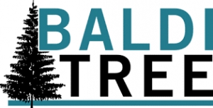 CDL Class A or B Drivers Wanted - Plymouth, MA